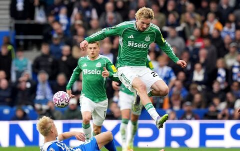 Brighton &amp; Hove Albion - Newcastle United