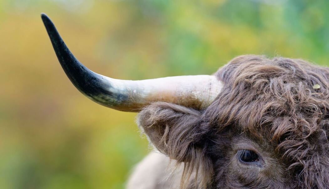 Wetter in Baden-Württemberg Wetter in Baden-Württemberg