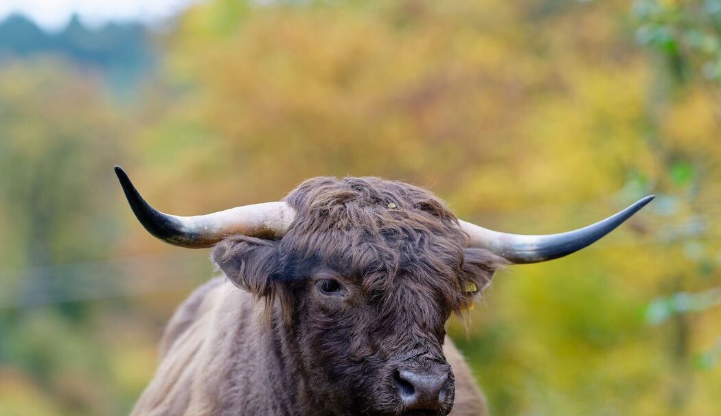 Wetter in Baden-Württemberg Wetter in Baden-Württemberg