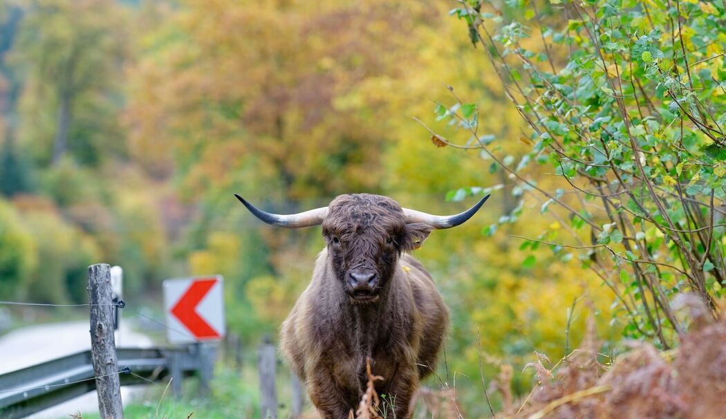 Wetter in Baden-Württemberg Wetter in Baden-Württemberg