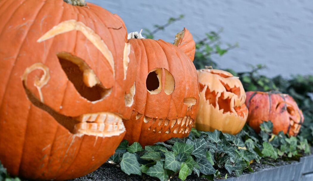 Halloween-Kürbisse