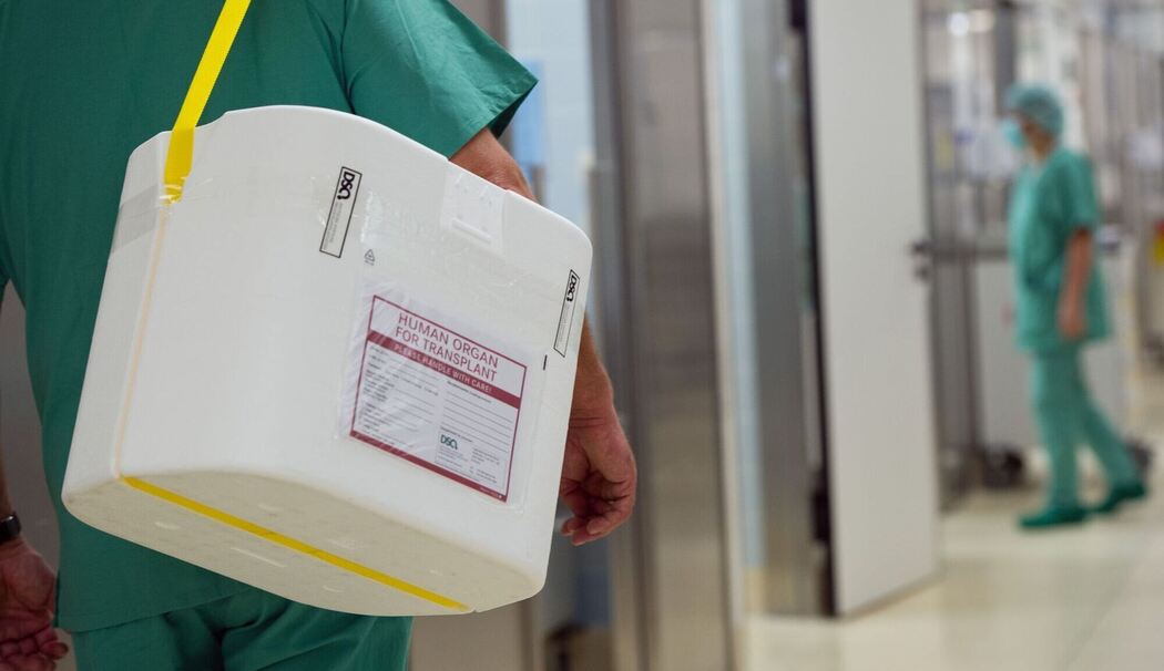 Organspende Organspende