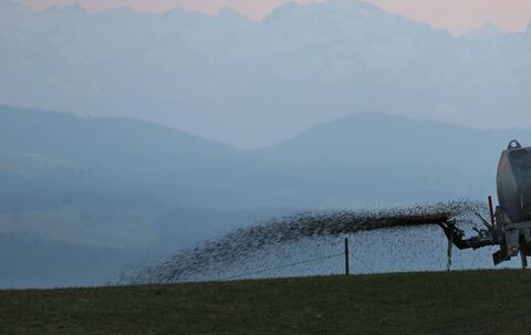 Düngung mit Gülle
