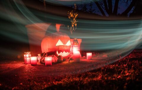 Geschnitzter Halloween-Kürbis steht in einem Garten