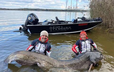 Riesiger Wels in Polen gefangen