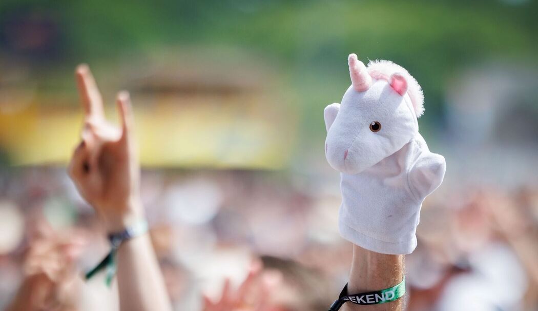 Open-Air-Festival "Rock im Park"