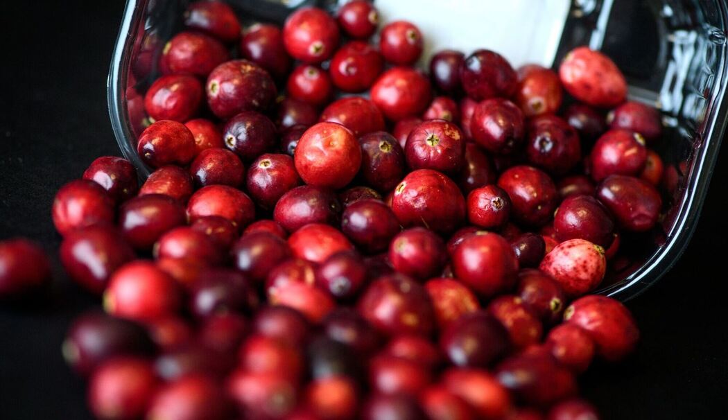 Cranberrys liegen in einer Schale