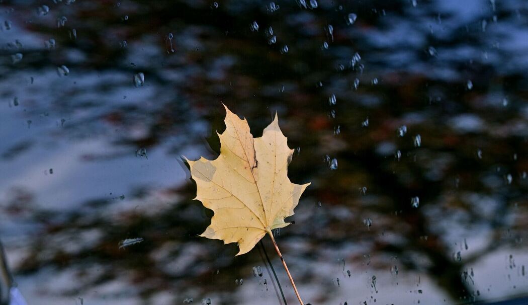 Herbstwetter