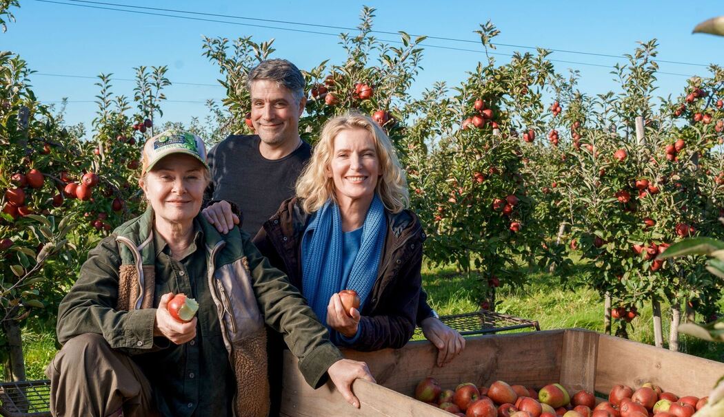Neuer NDR-"Tatort" aus Niedersachsen mit Maria Furtwängler Neuer NDR-"Tatort" aus Niedersachsen mit Maria Furtwängler