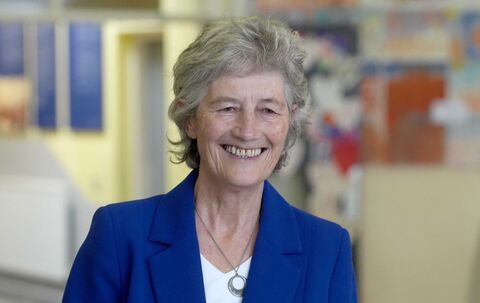 Präsidentschaftswahl in Irland