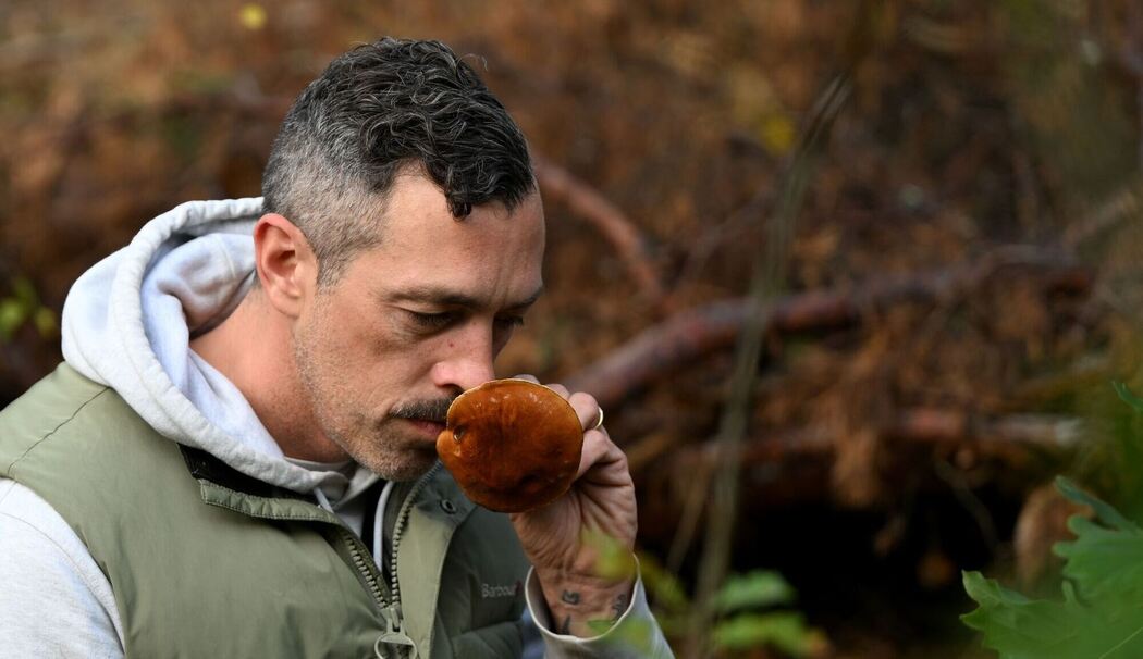 Mit einem Pilz-Influencer in den Pilzen Mit einem Pilz-Influencer in den Pilzen