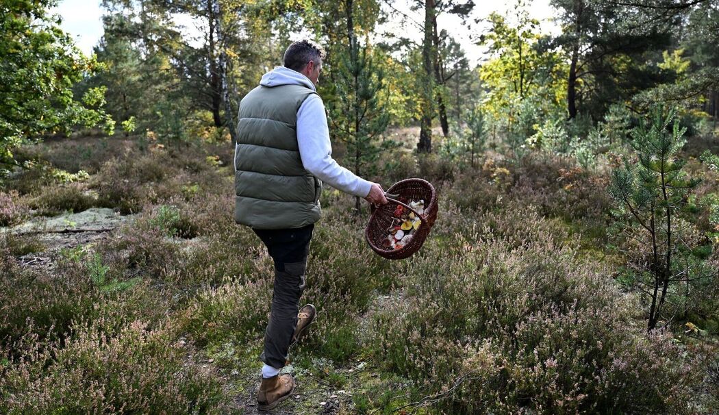 Mit einem Pilz-Influencer in den Pilzen Mit einem Pilz-Influencer in den Pilzen