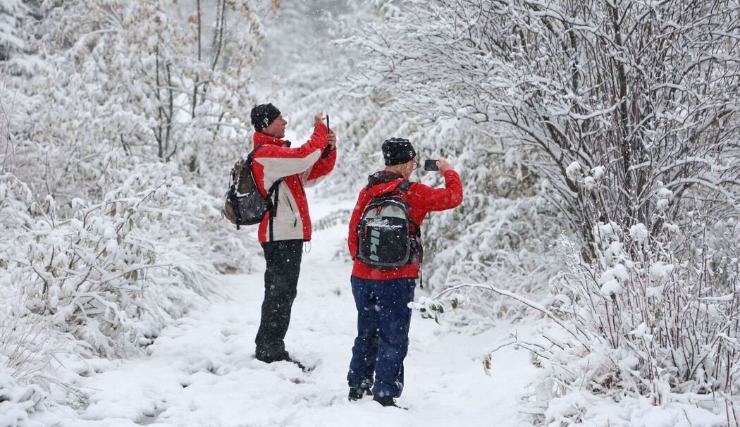 Schnee auf dem Brocken