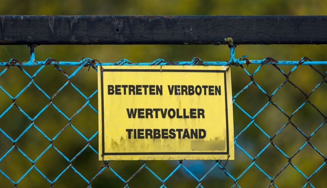 Vogelgrippe - Neuhardenberg