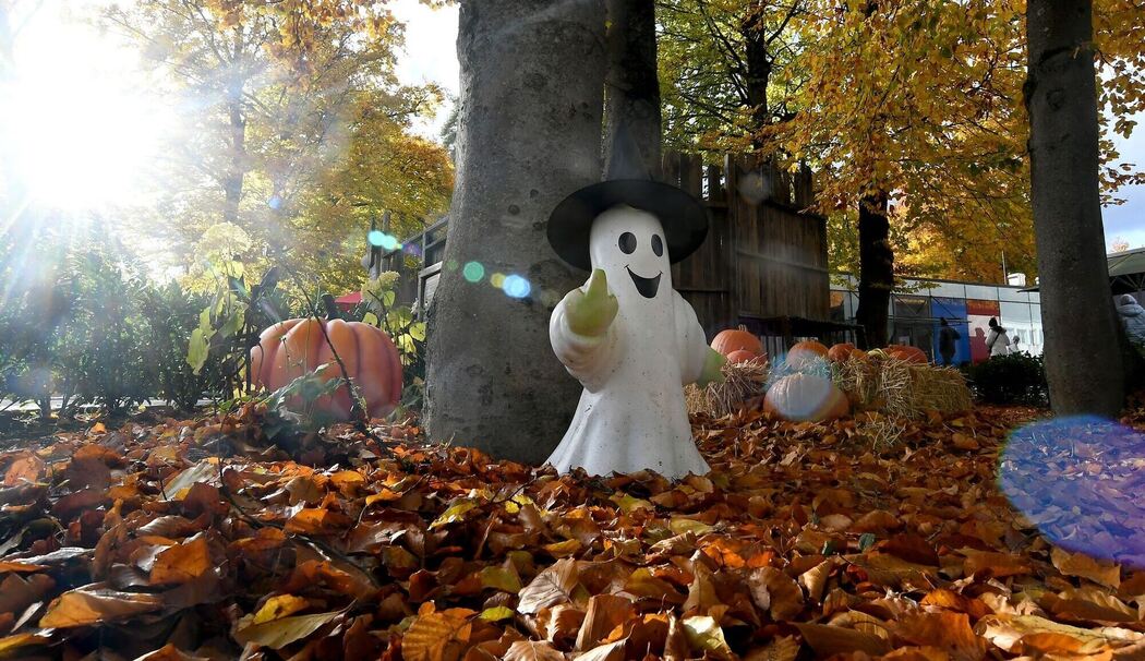 Halloween - Spooky Tour 2025 in der Bavaria Filmstadt