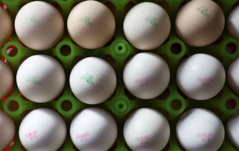 Eier von Biobauernhof