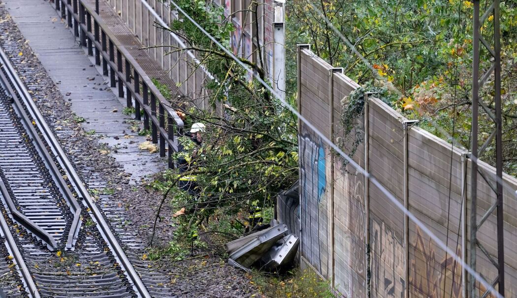 Regionalzug fährt in München gegen umgestürzten Baum Regionalzug fährt in München gegen umgestürzten Baum
