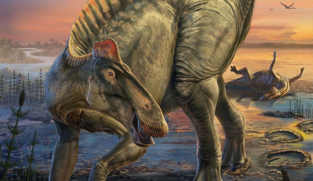 Mumifizierte Dinosaurier Mumifizierte Dinosaurier