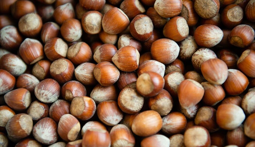 Haselnüsse Haselnüsse