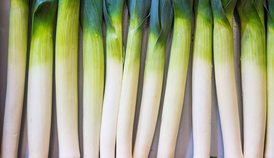 Lauchstangen liegen in ener Kiste