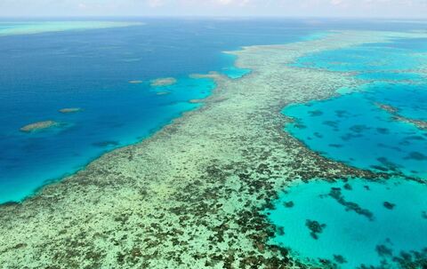 Great Barrier Reef in Australien