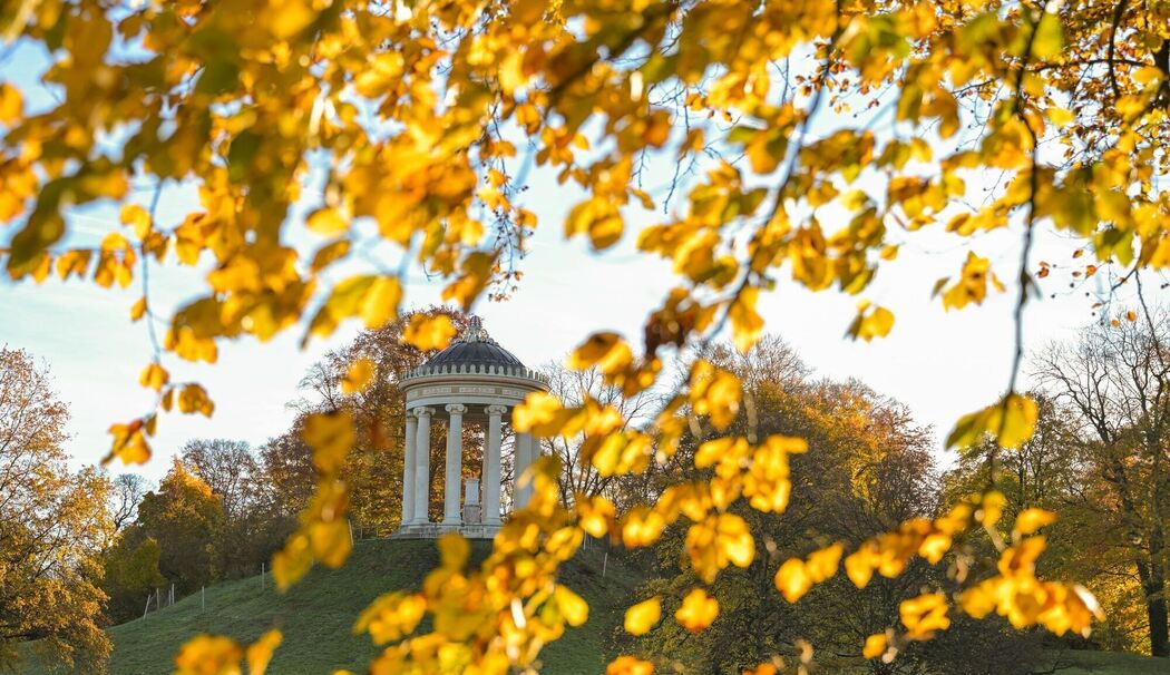 Englischer Garten im Morgenlicht