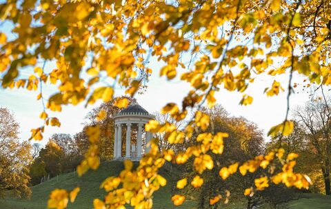 Englischer Garten im Morgenlicht