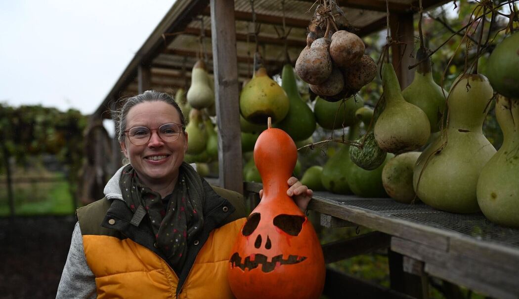 Handgefertigte Kürbislampen Handgefertigte Kürbislampen