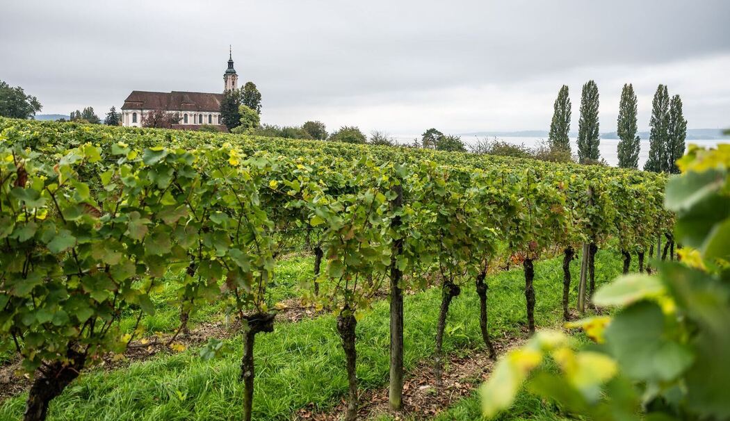 Wetter in Baden-Württemberg Wetter in Baden-Württemberg
