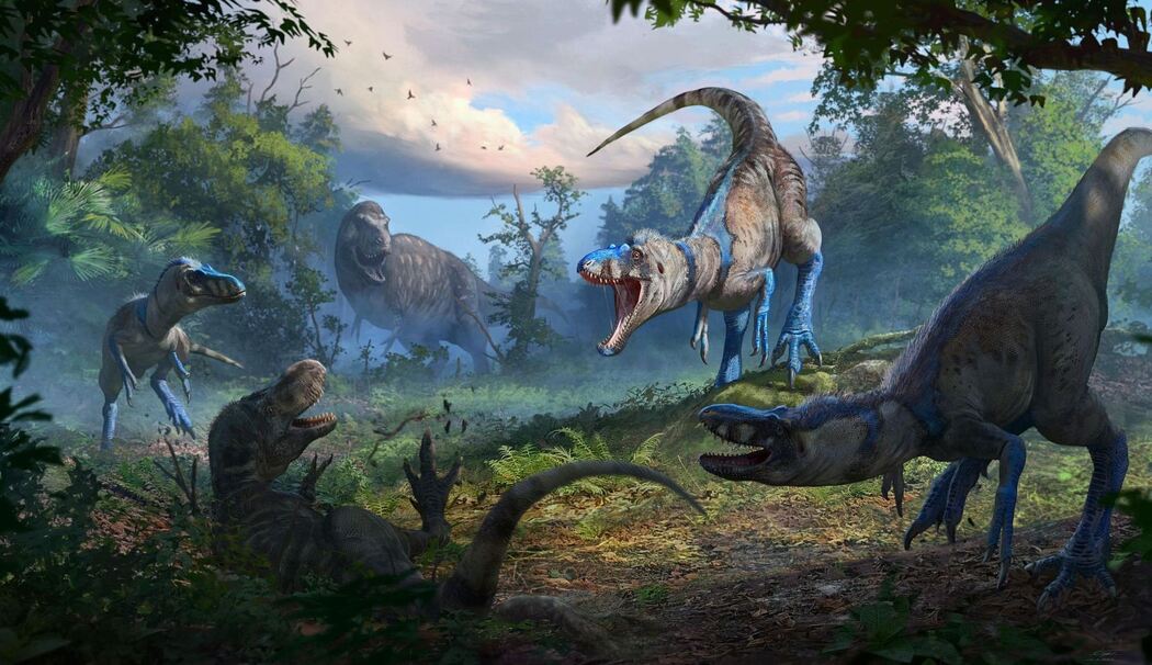 Rätsel um Tyrannosaurus rex gelöst