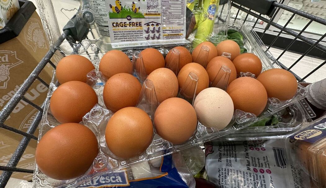 Hohe Eierpreise in den USA