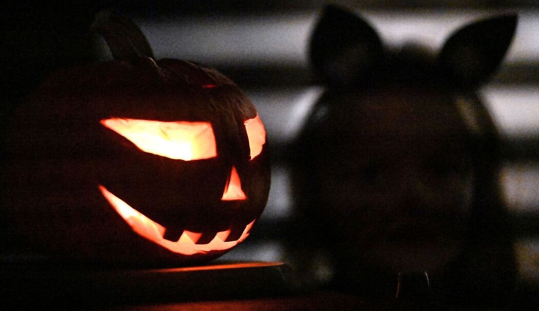 Halloween in Göttingen Halloween in Göttingen