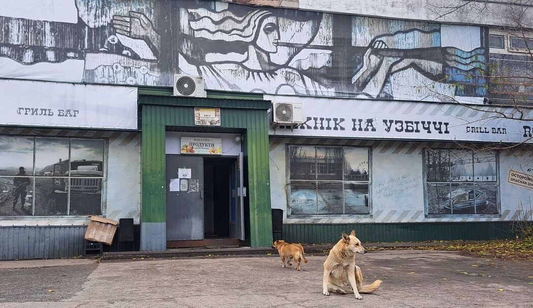 Straßenhunde in Tschernobyl Straßenhunde in Tschernobyl