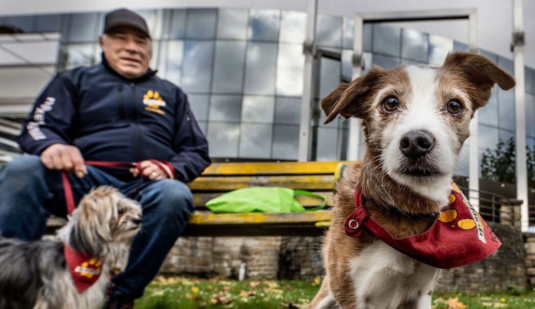Vor der Besuchermesse «Hund & Pferd»