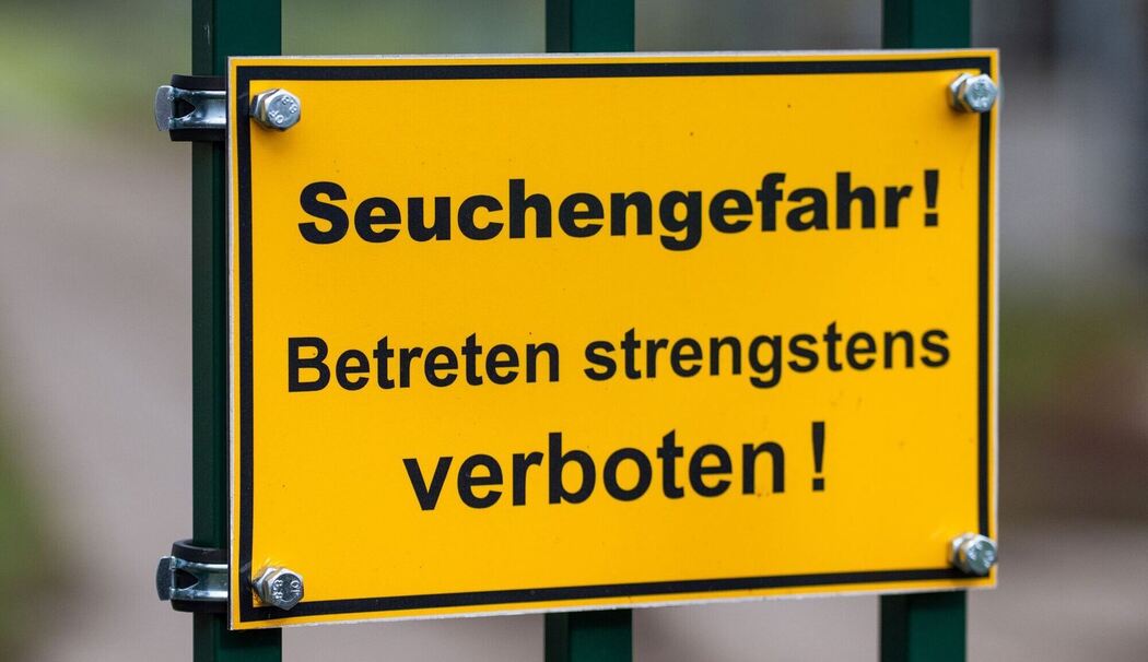 Vogelgrippe Vogelgrippe