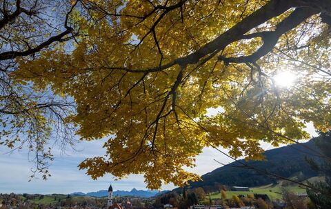 Herbstwetter in Bayern