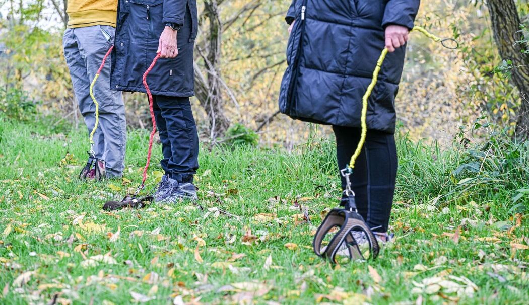 Hobby-Dogging - ein neuer Trend Hobby-Dogging - ein neuer Trend