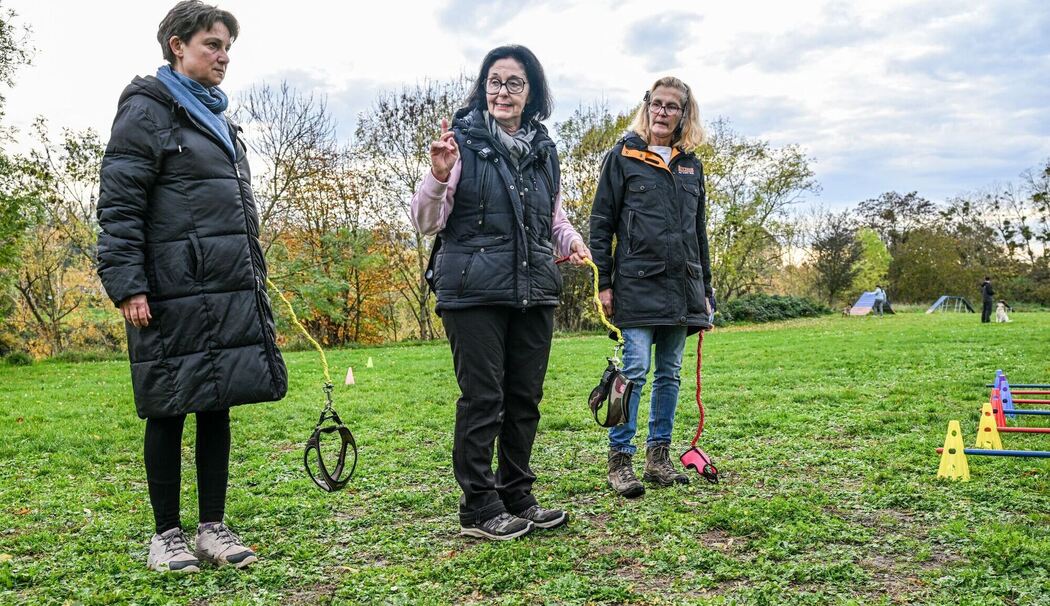 Hobby-Dogging - ein neuer Trend Hobby-Dogging - ein neuer Trend