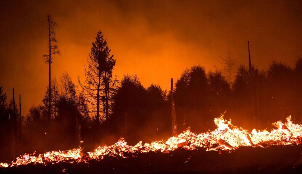Waldbrand in Thüringen Waldbrand in Thüringen