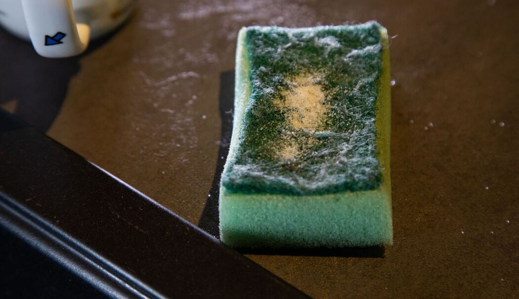 Salz ist auf einem Schwamm zu sehen Salz ist auf einem Schwamm zu sehen