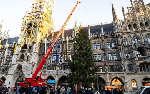 Christbaum auf dem Marienplatz
