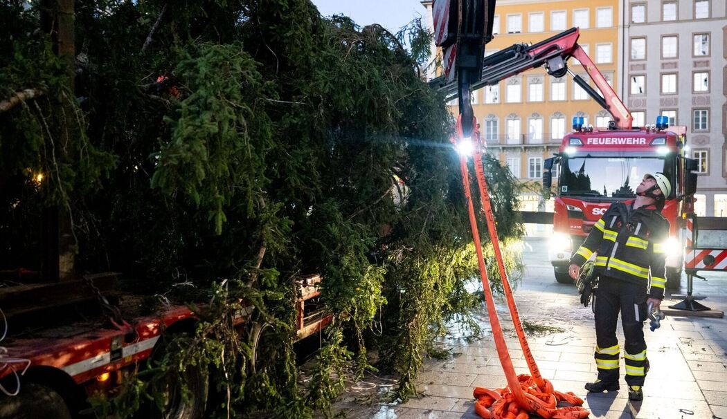 Christbaum auf dem Marienplatz