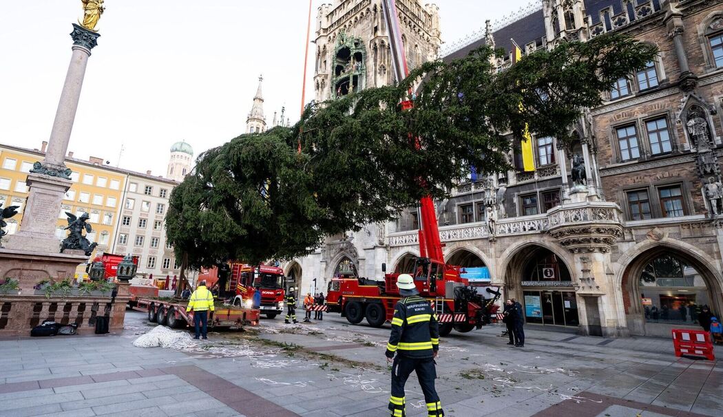 Christbaum auf dem Marienplatz