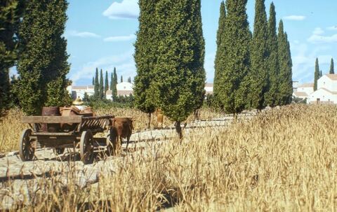 Römisches Straßennetz war weit größer als gedacht