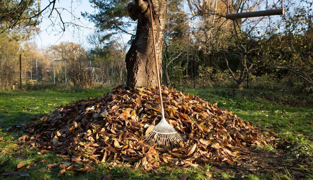 Aufgeschichtetes Laub in einem Garten