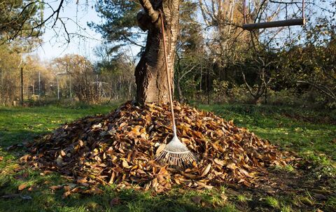 Aufgeschichtetes Laub in einem Garten