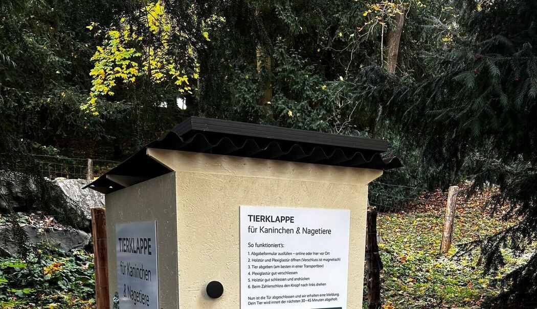 Erste Tierklappe in der Schweiz Erste Tierklappe in der Schweiz