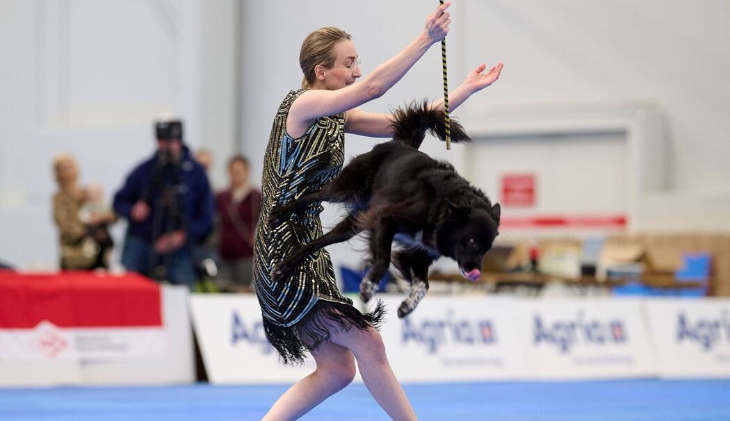 Meisterschaft im Dog Dancing auf Messe «Hund & Pferd» Meisterschaft im Dog Dancing auf Messe «Hund & Pferd»