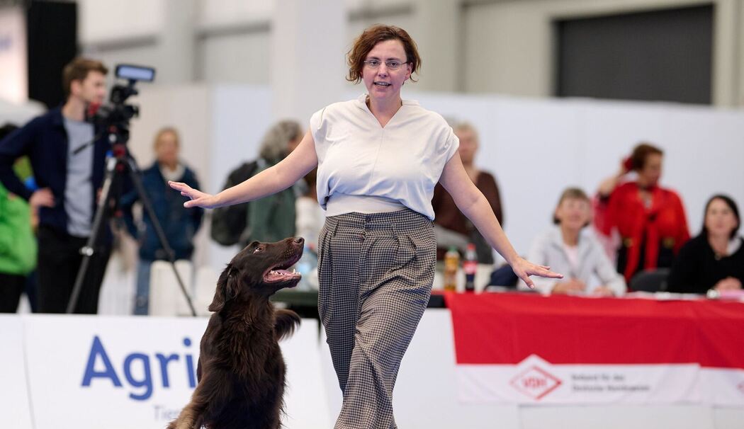 Meisterschaft im Dog Dancing auf Messe «Hund & Pferd» Meisterschaft im Dog Dancing auf Messe «Hund & Pferd»