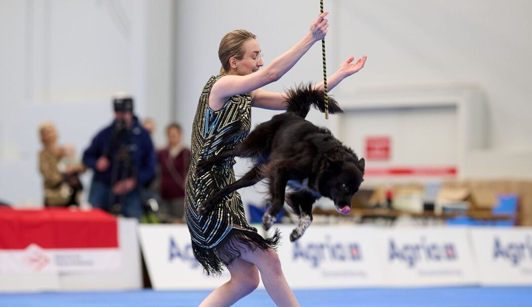 Meisterschaft im Dog Dancing auf Messe «Hund & Pferd» Meisterschaft im Dog Dancing auf Messe «Hund & Pferd»